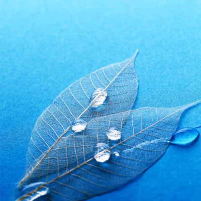 leaf-table